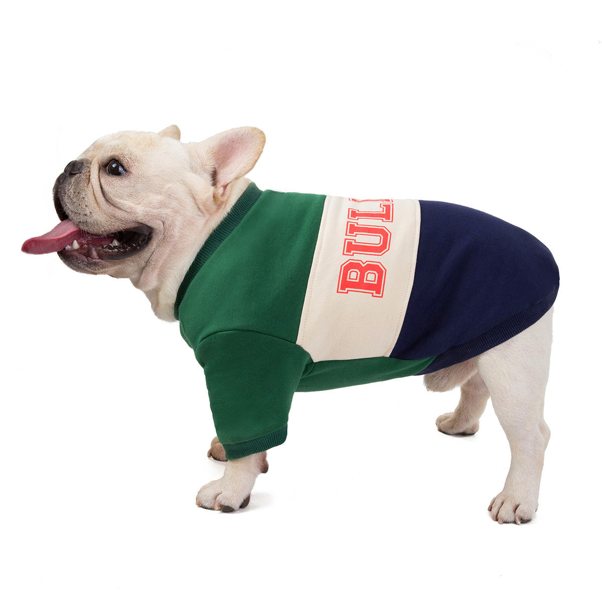 Pet color matching sweater