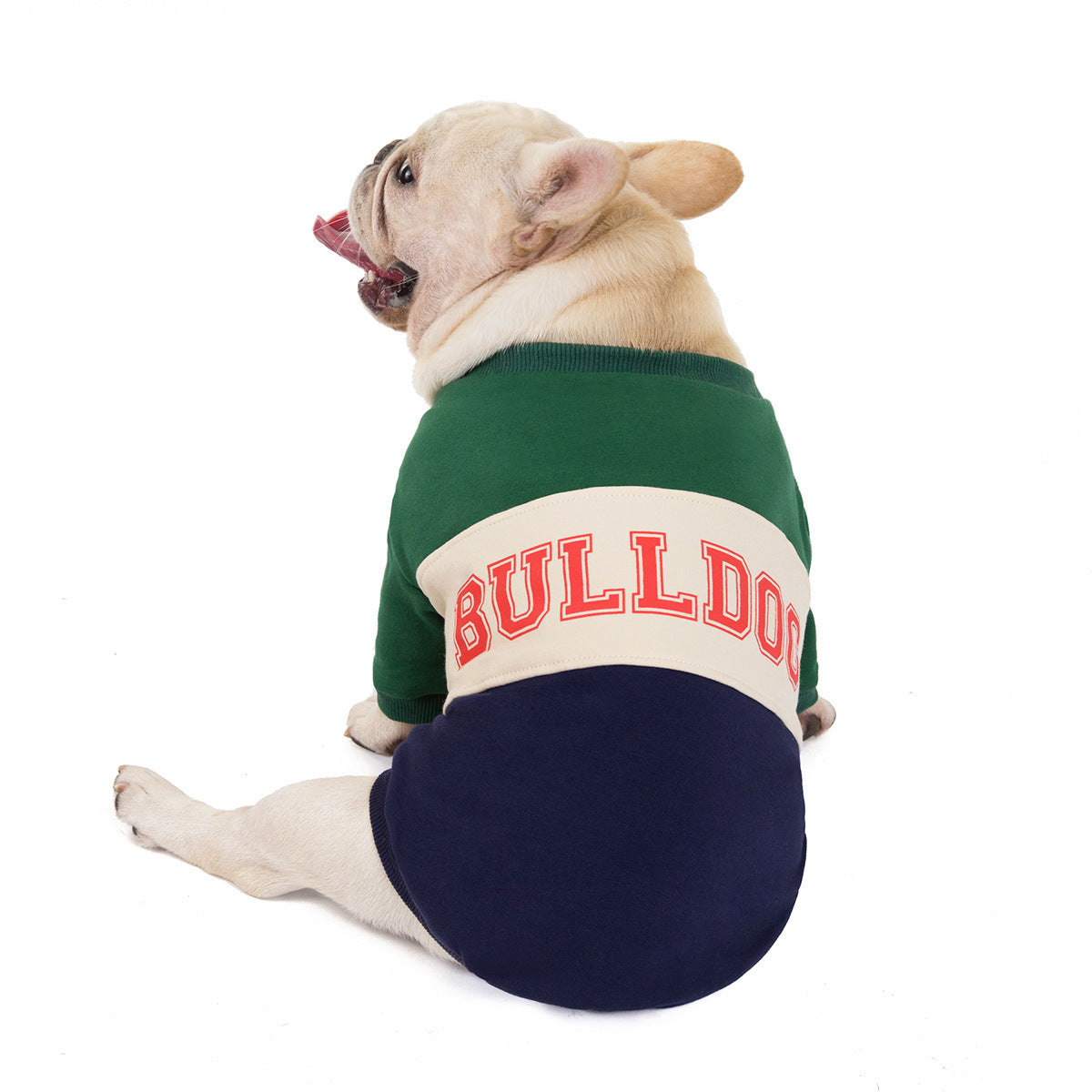 Pet color matching sweater